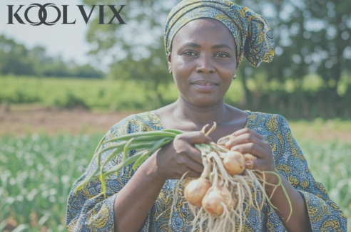 Koolvix image